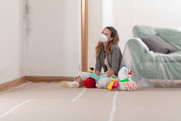 Reliable Mold Testing contractor in New York, NY by WQB Mold Removal